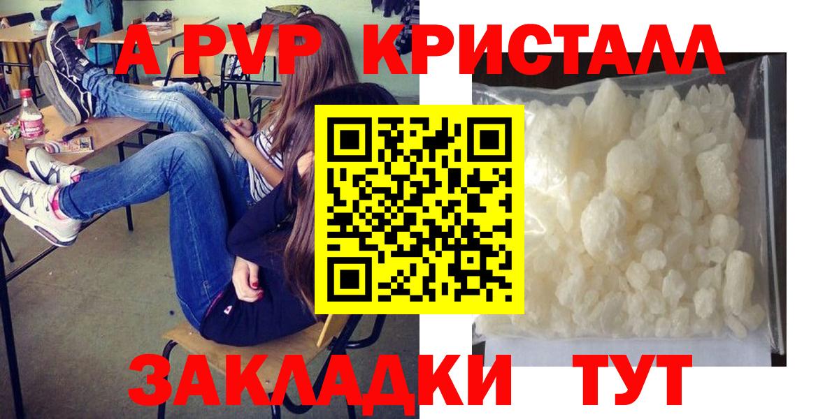 Альфа ПВП СК КРИС  Вход с VPN  Alpha PVP СК КРИС  Альфа ПВП СК  Элиста 