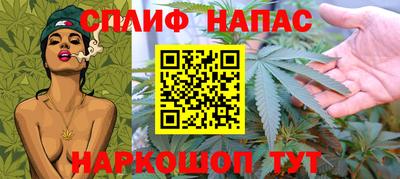 прущие грибы Краснокаменск
