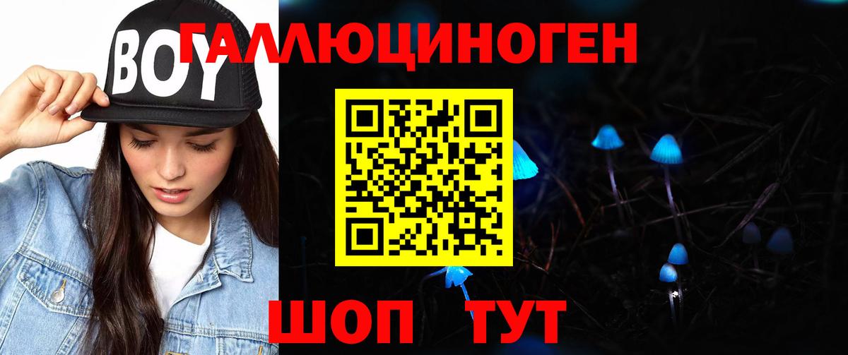 Элиста  где купить наркоту  Вход с VPN  Галлюциногенные грибы Magic Shrooms 